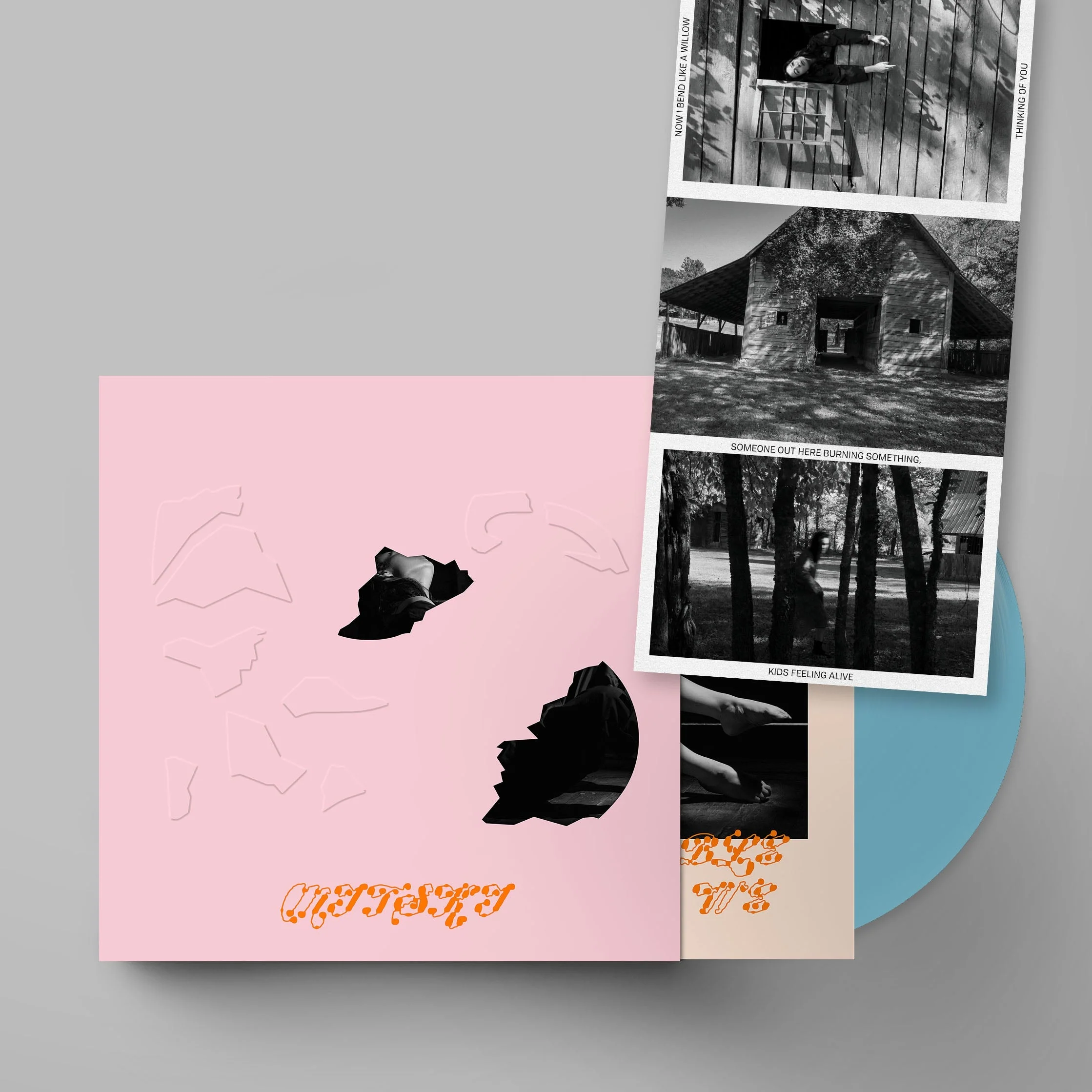 Mitski - The Land is Inhospitable and So Are We - Image 6